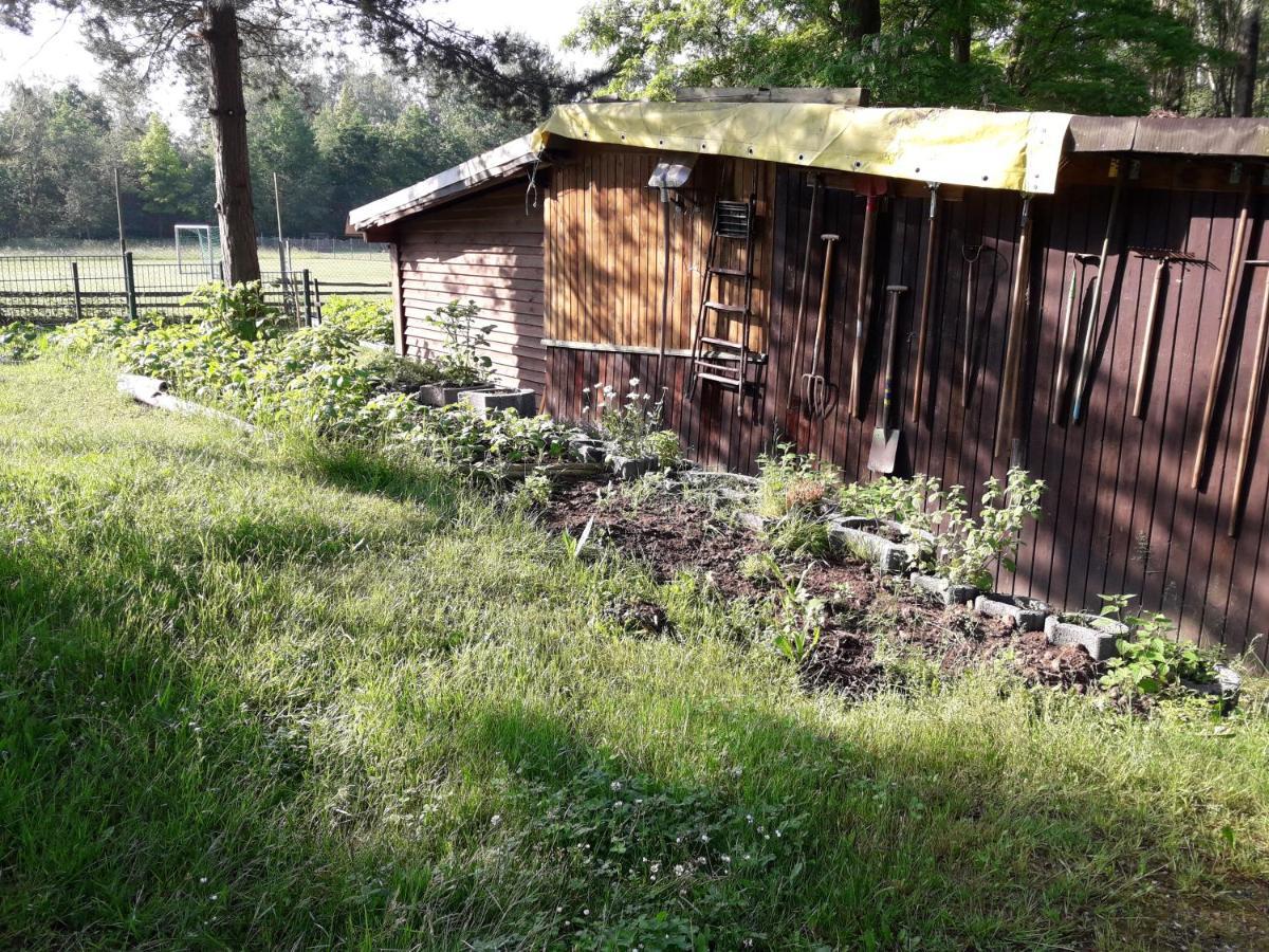 شقة Birkenhof Ashram Shanti Zimmer تسيتاو المظهر الخارجي الصورة