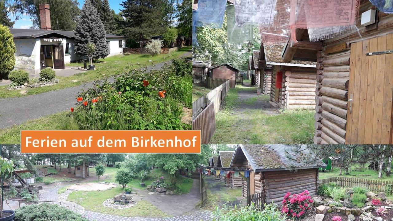 شقة Birkenhof Ashram Shanti Zimmer تسيتاو المظهر الخارجي الصورة
