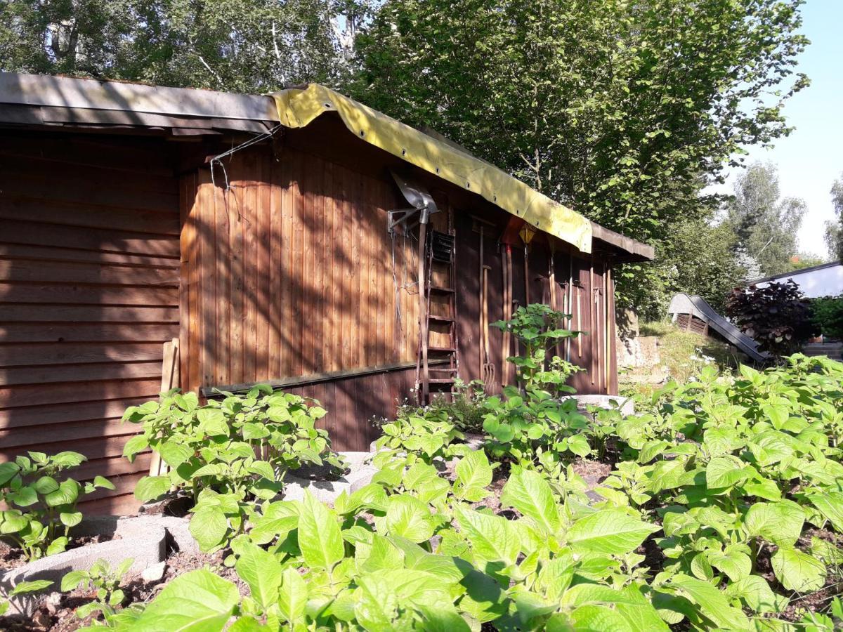 شقة Birkenhof Ashram Shanti Zimmer تسيتاو المظهر الخارجي الصورة